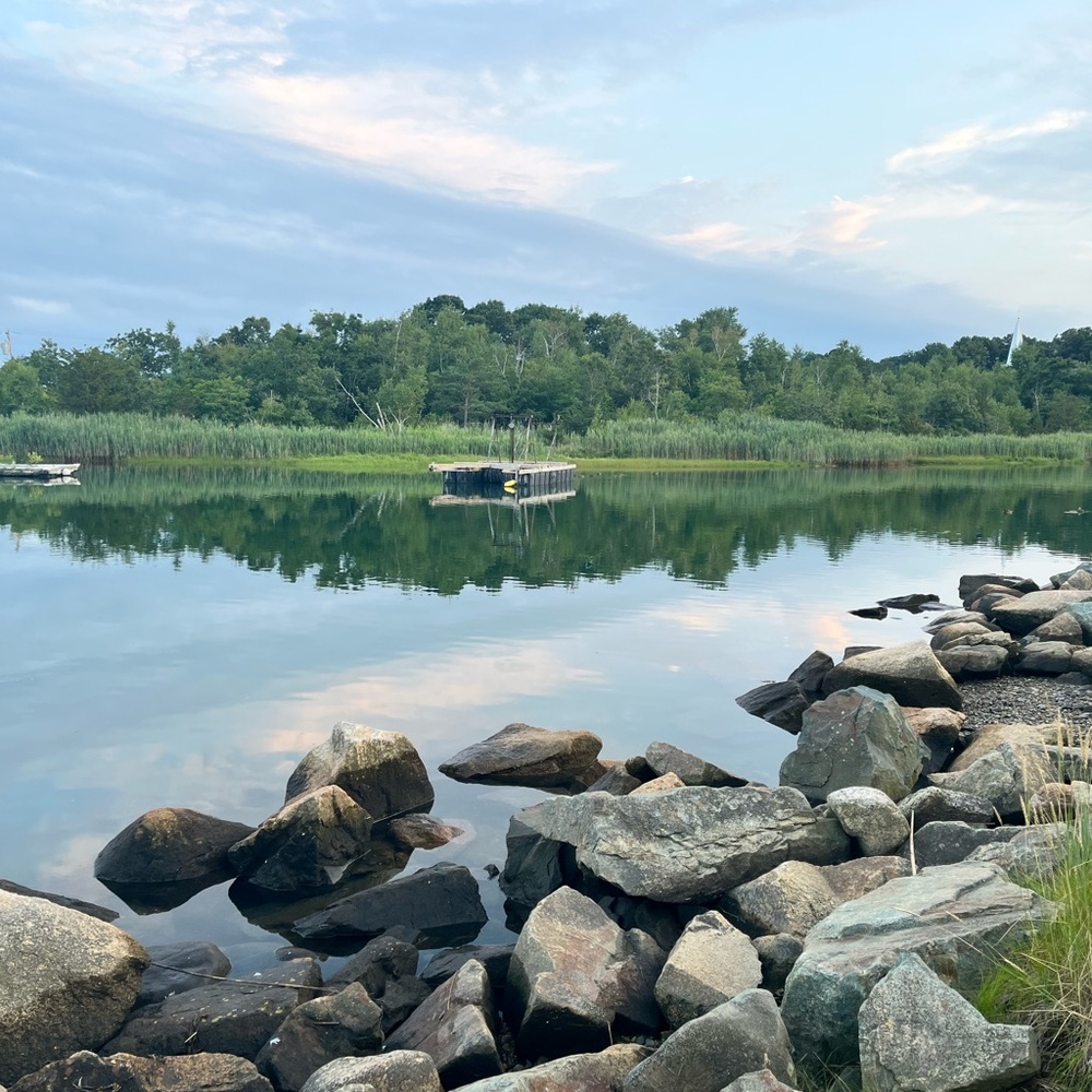 Meet your Posher, Caitlin